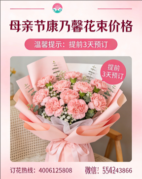 潍坊潍城区花店母亲节康乃馨花束