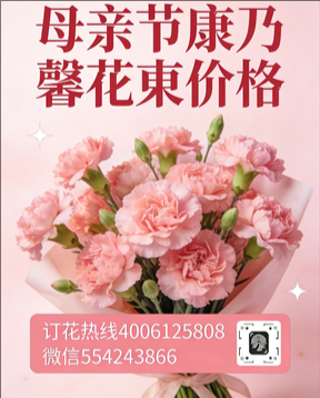 潍坊潍城区花店母亲节康乃馨花束